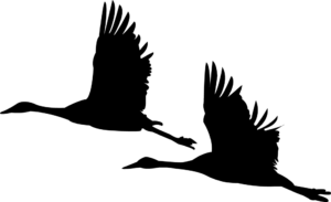 grus grus logo lori